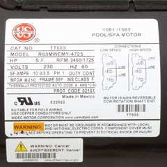 Waterway Plastics Exec 56 Frame 2" Pump Complete, 3HP, 230V, 2-Spd | 3721221-1D