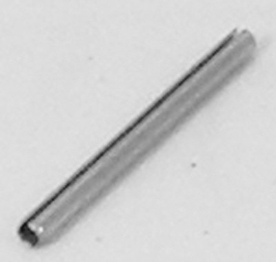 Hayward Pivot Pin, (Long) | ECX100Z9