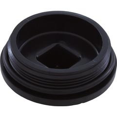 Jacuzzi® Plug, 2" Mpt W/ Oring | 43-3092-02-R