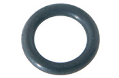 Pentair Oring, Bleeder Adapter | 154661