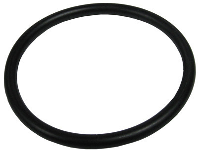 Pentair Oring, Bulkhead 2" | 154492