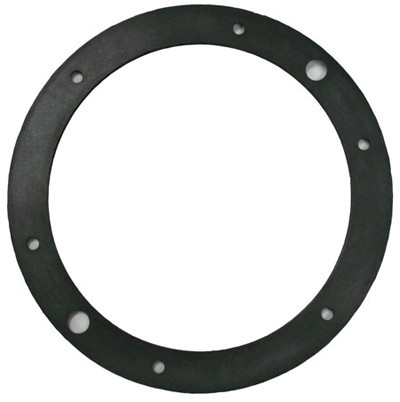 Pentair Single Gasket | 79204600