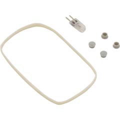 Smartpool 12V 20 Watt Bulb With Lens Gasket | NLK1