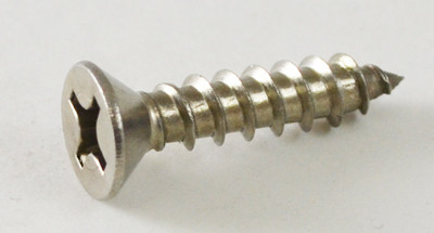 Pentair Screw, Flathead | 552472