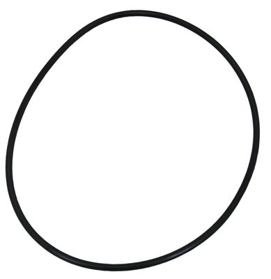 Speck Lid O-Ring | 7200055003