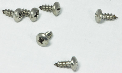Hayward Screw, Upper Body (Set Of 6) | AXV065P