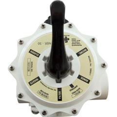 Waterway Multiport Valve, 2" Fpt | WVD001