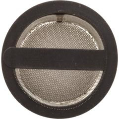 Pentair Screen, Wall Fitting, Old Style Length 1 5/8", Diameter 1 1/4" | EJVW2