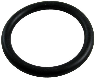 Sta-Rite O-Ring, For 2" Unitrol | 35505-1313