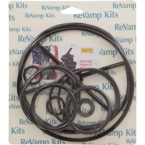 Repair Kit for Praher/Pentair 2" Multiport Valves | 65070