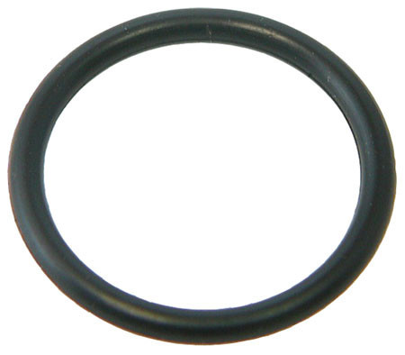 Polaris Oring (Each) | D24