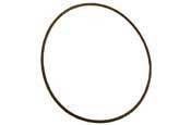 Hayward Housing Oring Gasket | SPX1705Z1