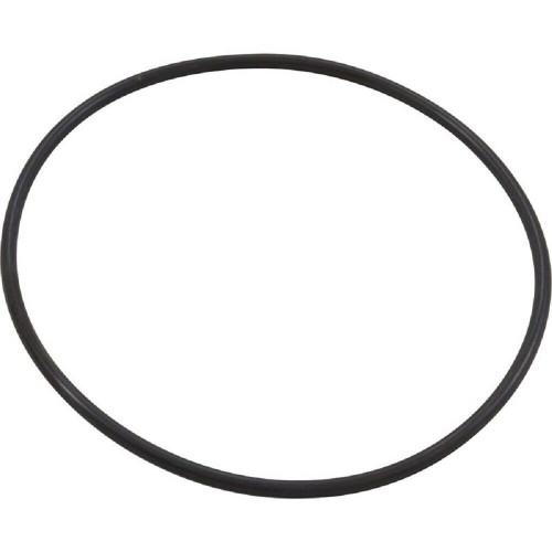 Pentair Seal Plate Oring | 351446