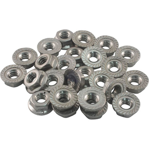 Raypak Flange Nut Kit | 008259F