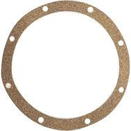 Pentair Gasket, Adapter | C20-46