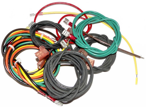 Raypak Harness, Wire Iid | 004008F
