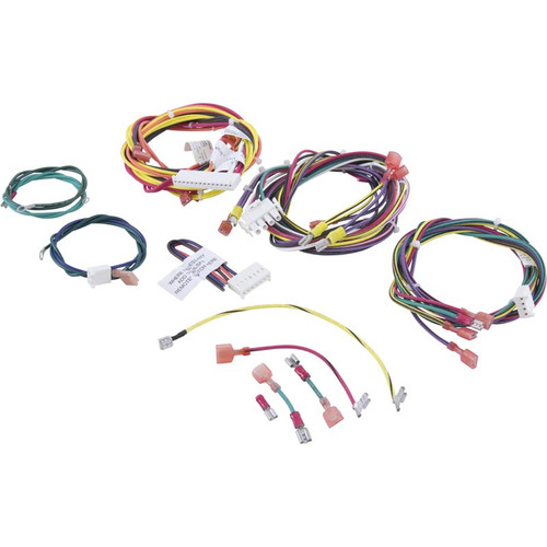 Raypak Wire Harness, Lid | 010347F