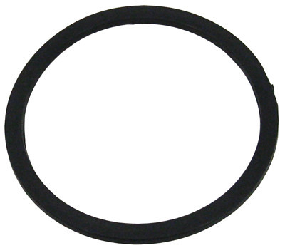Waterway Plastic Rear Seal, Internal | 711-6090