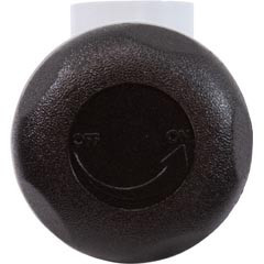 Waterway Plastics On/Off Turn Valve Assembly-Single Port-Dsg | 600-4369-DSG