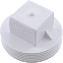 Waterway Plastics Plug, Waterway, 2" Male Pipe Thread | 715-9910