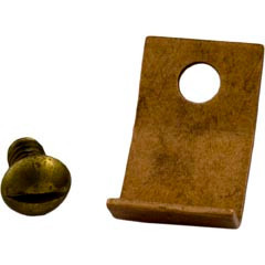 Hayward Light Spring Clip, Hayward, SP0500, SP0501, SP0502, w/Screw | SPX0503XA
