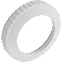 Pentair Screw Cover, Pentair Return Line Check Valve | 072503