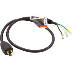 Pentair Crd Asy 3Fttwl 20A Plg #12/3 W/Lbl | 155234
