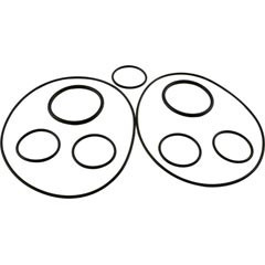 Polaris O-Ring Kit, Zodiac Polaris Caretaker Valve | 5-13-1