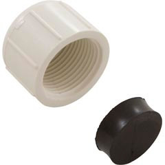 Cooper Industries Drain Cap, W Cooper Ranger RS-16/18, 1"fpt, w/gasket | 2022