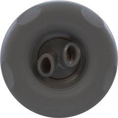 Waterway Plastics Jet Intl, WW Poly Storm, 4"fd, Twin Roto, Txt Scal, Gry,Thd | 229-8177