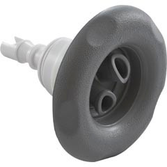 Waterway Plastics Jet Intl, WW Poly Storm, 4"fd, Twin Roto, Txt Scal, Gry,Thd | 229-8177
