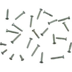 Hayward Light Screw Kit, Hayward, SP0507, Self Tapping | SPX0507Z1KIT