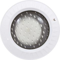 Hayward 500W 120V ASTROLITE POOL LIGHT | W3SP0583L100