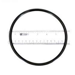 Pentair O-RING PUMP PUREX | 071423