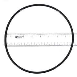 Pentair O-Ring | 355619Z