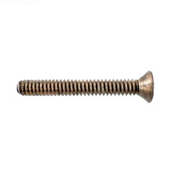 Pentair Screw | 630022
