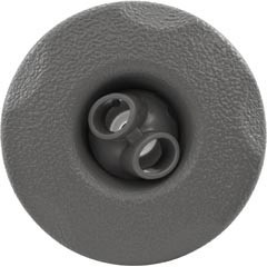 Waterway Plastics Jet Intl, WW Cluster Storm,2"fd,2 Roto,Txt Scal,Gry,Thd | 229-1597