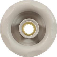 Waterway Plastics N/Adj. Whirlpool Jet Internal 5Sclp Esc.-Sts | 212-2029-STS