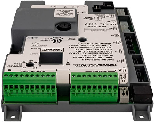 Raypak Ignition Control | 014324F