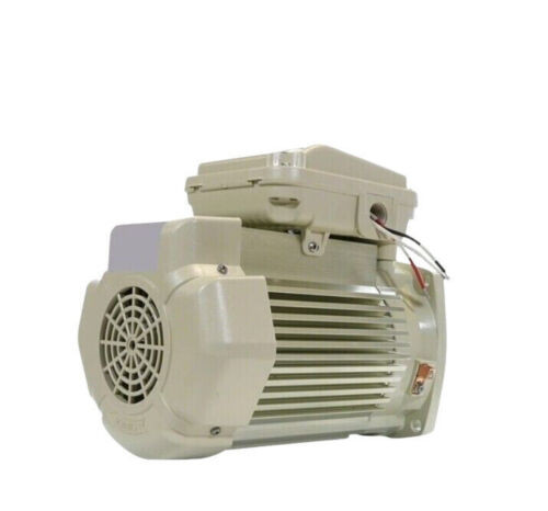 Pentair 2Hp Tefc Motor 208V 230V 1Ph | 354815S