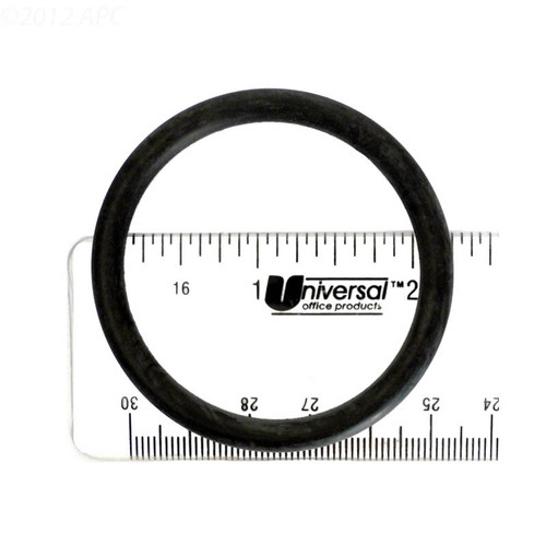 Hayward Piston O-Ring, Large | SPX0410Z2