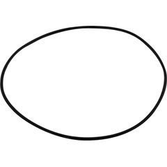 Polaris LARGE O-RING ACRYLIC LID | 1-13-39