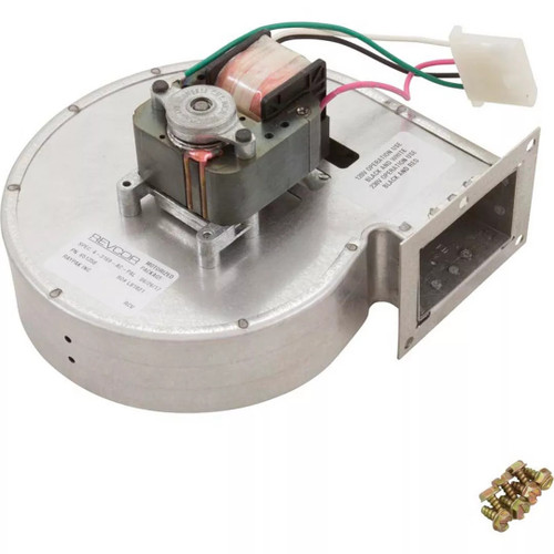 Raypak RP2100 Parts - Pool Heater | Wild West