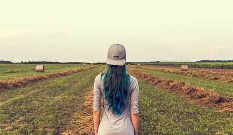 The Farm Bill - What it Means for the Cannabis Industry.