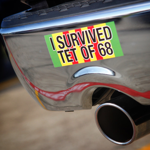 I Survived TET of 68 - Sticker