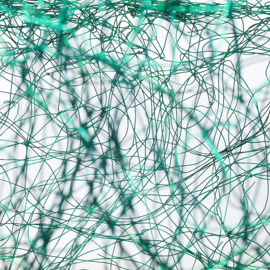  Aurora by Nancy Koenigsberg