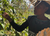 Ethiopia Shanta Golba Natural - Light