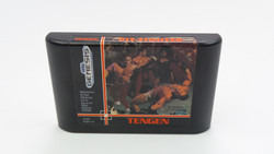 Sega Genesis Pit- Fighter Tengen Game