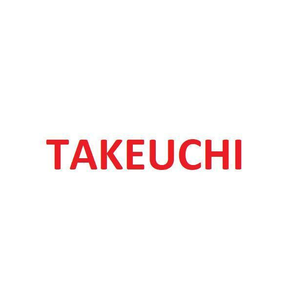 Takeuchi 19001-11699-EX Arm 2pc Boom A Cylinder Seal Kit