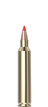 .204 Ruger